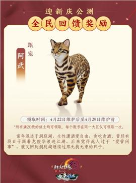 私服天龙八部升武器